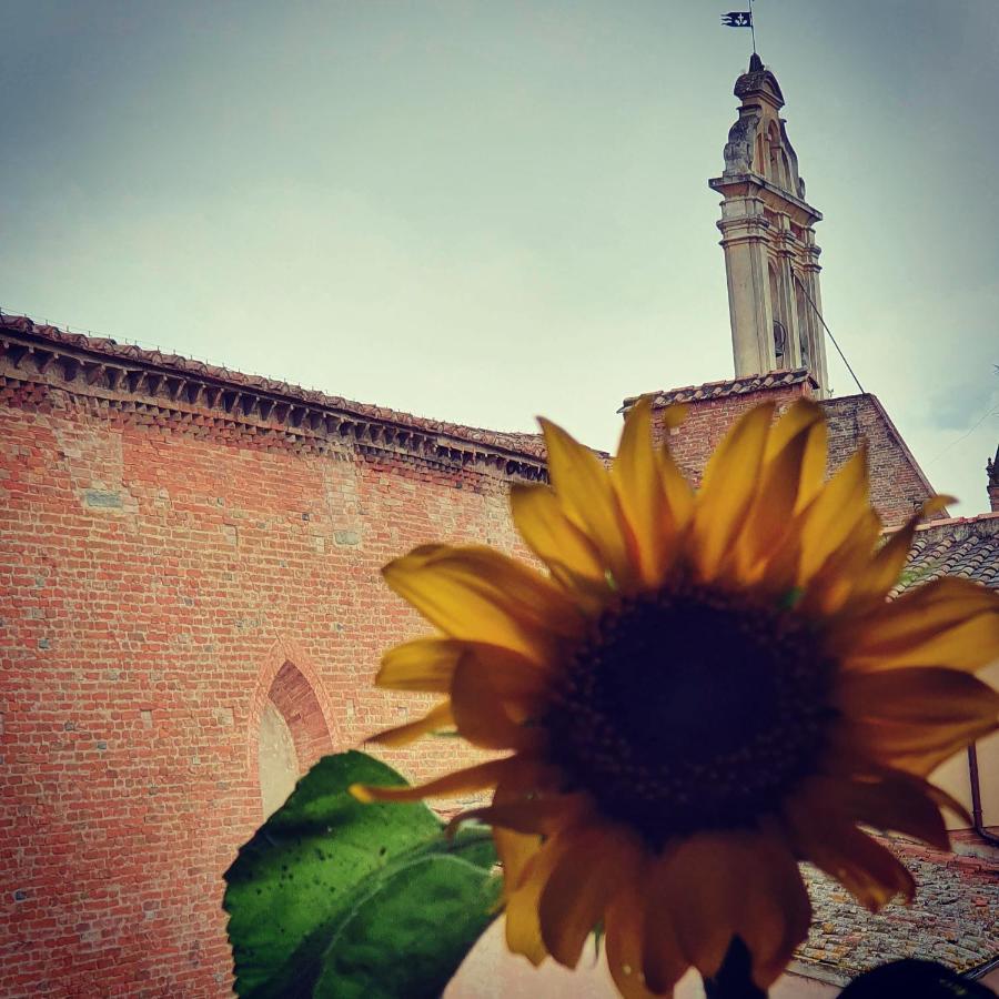 Appartaments San Francesco Castelfiorentino Luaran gambar